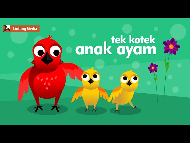 Anak Ayam (Tek Kotek) - Lagu Anak Indonesia Populer class=