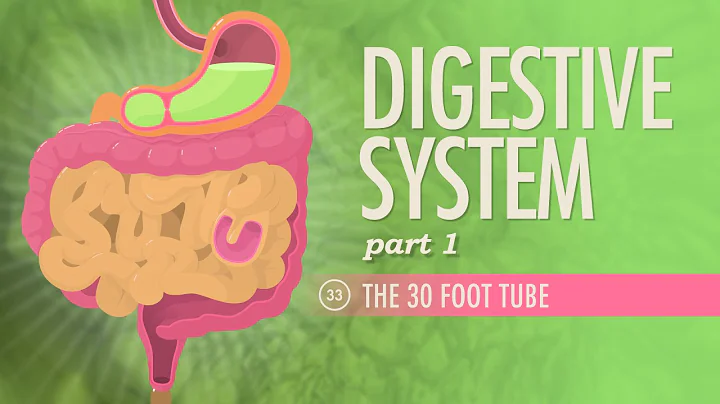 Digestive System, Part 1: Crash Course Anatomy & P...