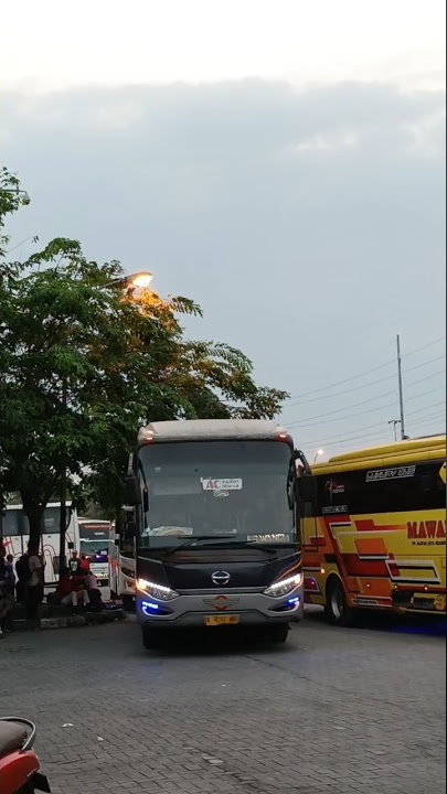 Legacy SR-1 Milik Akas IV Yang Masih Mulus #akasiv #akasgroup #busjawatimuran #yearofyou #shorts