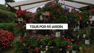 TOUR POR MI JARDIN plantas llenas de flores, Geranios, Fucsias, Anturios, Begonias | Jardín Diaz😍💚🍀🌼