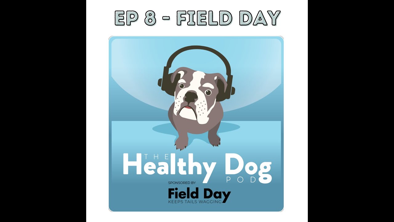 Field Day - Final Episode Reflections on Season 2