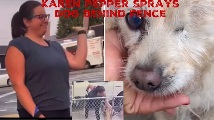 Karen Pepper Sprays Dog Through Fence Her Business...