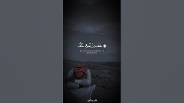 القارئ احمد خضر | سورة مريم 🤍🎧