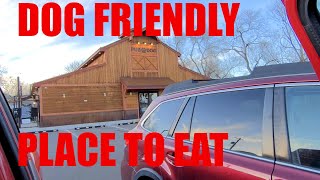 Pub Dog: Dog Friendly Places Colorado Springs by Taming The Tamaskan 980 views 3 years ago 6 minutes, 11 seconds