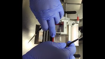 Sectioning with Static Gun