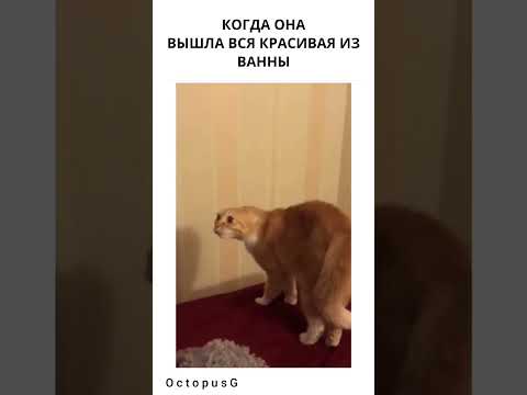 Когда вышла из