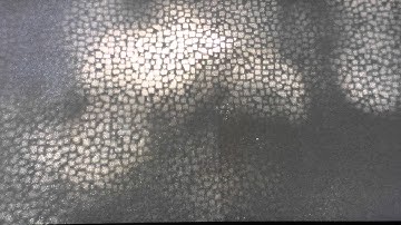 ABR light through window