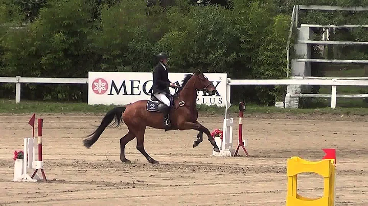 Santa Fe DORA 1. 30 CAE 10-10- 15 Martin Mulhall