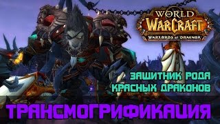 Защитник рода Красных Драконов, трансмогрификация Wow (Разбойник)