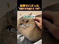 【爆笑】可愛すぎる猫 #shorts