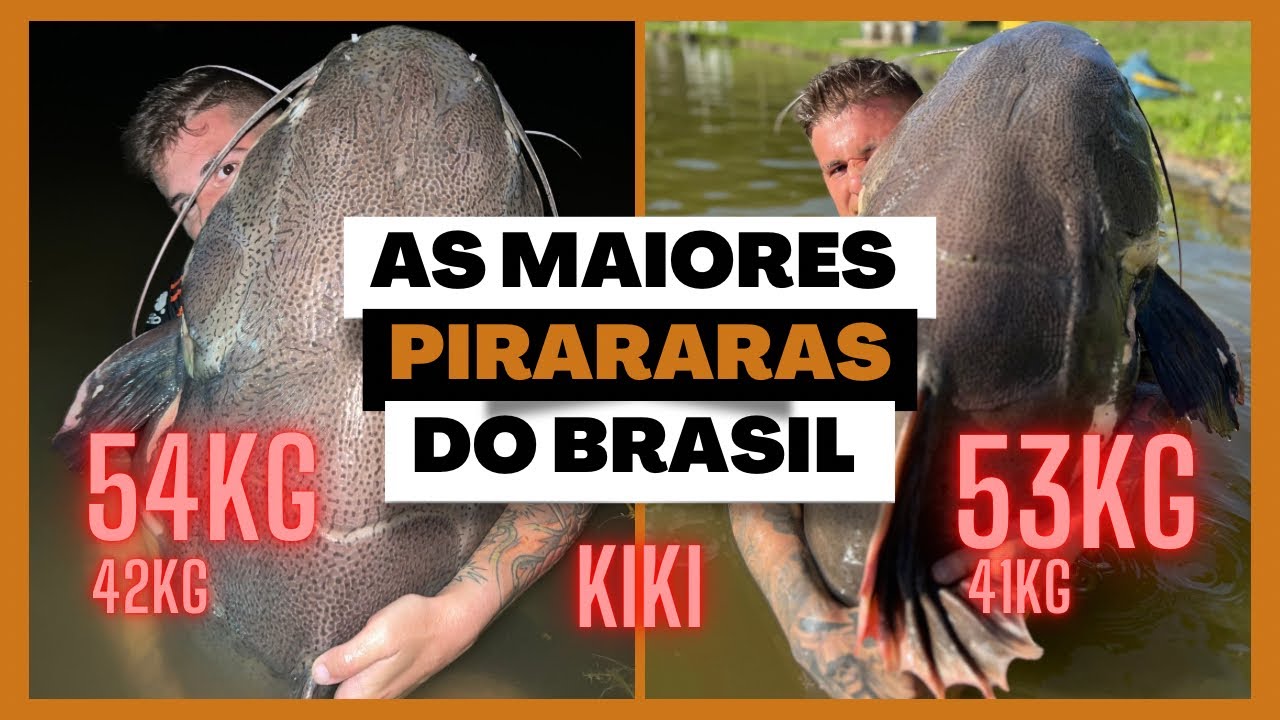 AS MAIORES PIRARARAS DO BRASIL MORAM NESSE LUGAR/ PESCARIA DOS SONHOS/ SÓ GIGANTE