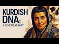 DNA Of The Kurds A Journey Through History Identity And Genetic Legacy