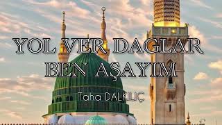 Yolver Dağlar Ben Aşayım Taha Dalkılıç