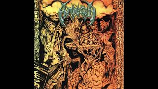 Amnesia - Land of No Return