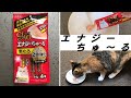 パワーアップ版CIAOちゅ～る「エナジーちゅ～る」をあげてみた