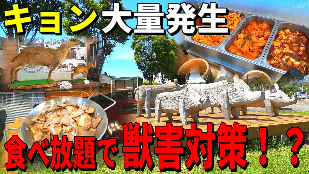 【千葉 珍スポット】日本で唯一！ジビエ食べ放題の「猟師工房ドライブイン」でキョンが食べられる！？【ロケットニュースコラボ】