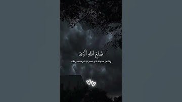 وترى الجبال تحسبها جامدة و هي تمر مر السحاب || تلاوة جميلة من القارئ عبد الرحمان مسعد #تلاوة_هادئة