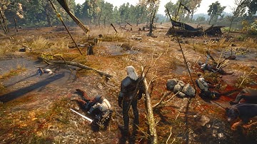 Missing in Action: Geralt on the Field of Corpses (Witcher 3 | White Orchard Quest)
