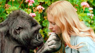 She Wasn’t Sure These Chimps Would Recognize Her 18 Years On. This Is One Emotional Reunion