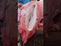 beef cutting skills #meat #highlights #meatmarket #shortvideo #beef