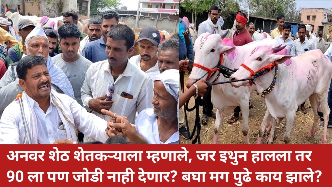 अनवर शेठ शेतकऱ्याला म्हणाले, जर इथुन हालला तर 90 ला पण जोडी नाही देणार?🤔 Chalisgaon bail bazar |