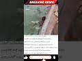 నదిలో మునిగిపోయిన బస్సు..18 మంది మృతి.#telugu#telugunews #localnews #trendingnews #apnewstodaytelugu