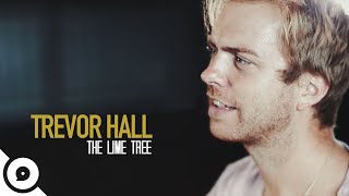 Trevor Hall - The Lime Tree Ourvinyl Sessions