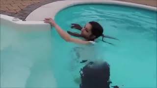 Belle brune en pantalon noir et haut blanc va dans la piscine pour jouer avec son chien