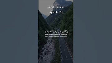 حم تنزيل من الرحمن الرحيم #سورة_فصلت #علاء_عقل