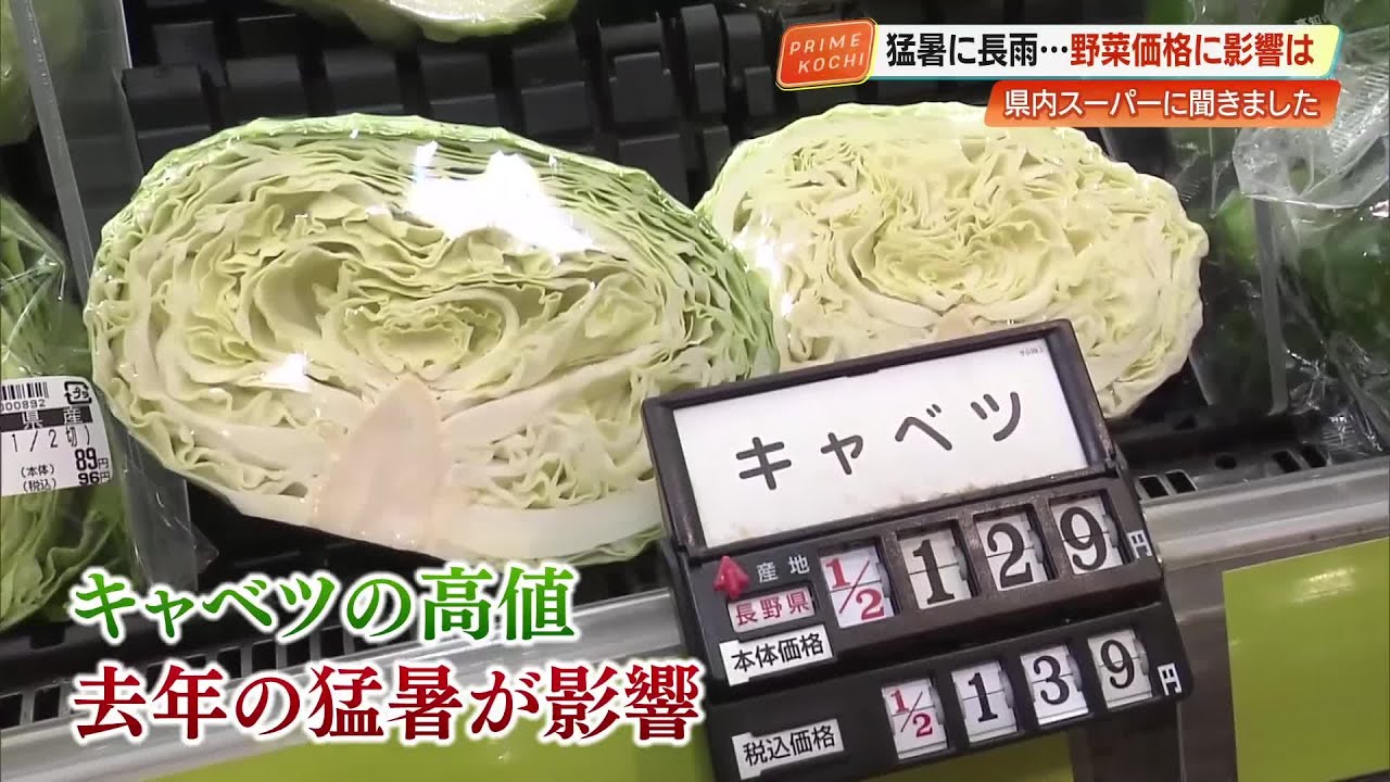 猛暑に次ぐ長雨で野菜の相場に影響はないのか スーパーマーケットを