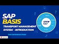 Sap basis  tms transport management system introduction