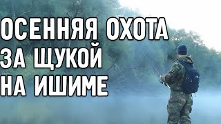 🎣 Осенняя охота за щукой на Ишиме #рыбалка #щука #осенняярыбалка #ловлящуки #рыбалкавКазахстане