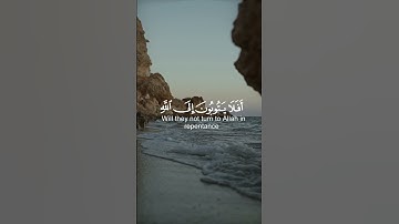 قرآن كريم | تلاوة من سورة المائدة |°القارئ عبد الرحمن مسعد #قرآن