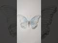 butterfly 🦋 Sketch Drawing #trending #shorts #butterfly #sketch #viral #video #islamicdrawing786
