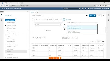SAS data quality and lineage viewer(part_1) using SAS Viya(CAS Server)