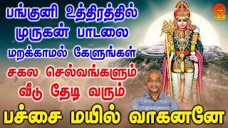 பங்குனிஉத்திரம் விழாவில் முருகன் பாடலை கேளுங்கள் சகல செல்...