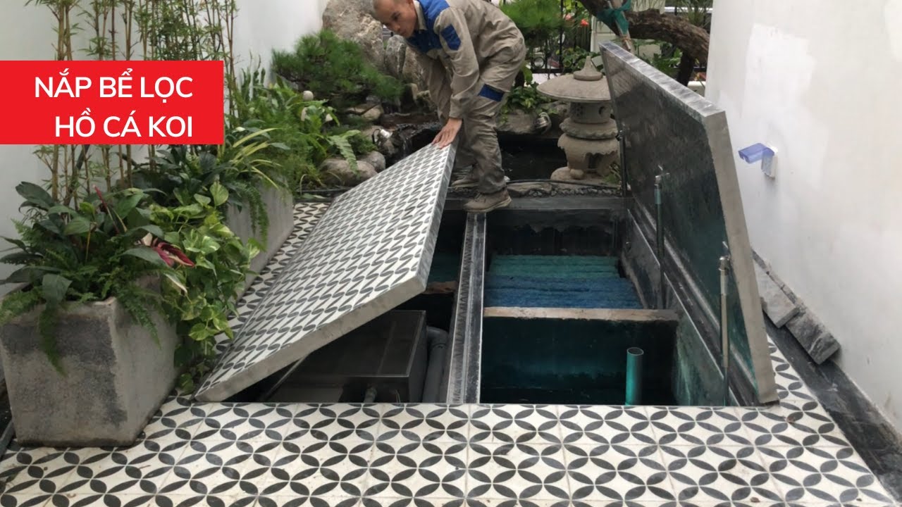 Lọc hồ cá koi – Bí quyết giữ gìn vẻ đẹp tự nhiên của hồ cá koi nhà bạn