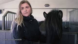 Tails of Iceland: Þórdís Anna Gylfadóttir