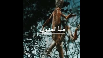 مقطع ط مريح للقلب بصوت القارئ عبد الله طباخ #اكسبلور #قران #nature #كريم #راحة #المصحف #تلاوة_خاشعة