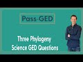 Three Cladogram Science GED Questions