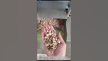 VERFOODSOLUTIONS Astragalus Herbs Cutting Dicing Machine Test Before Delivery