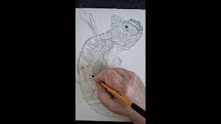 Drawing a Chameleon. Draw it with a grid with a twist. #drawing #animalart #watercolorpainting