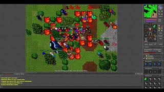 Old Tibia - Nova War - Zuliin (7.6 2006)