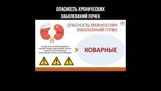 Опасность хронических заболеваний почек #почки #нефрология #здоровьепочек #болятпочки