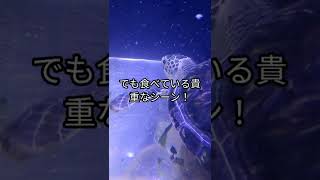 【残念な生き物図鑑展】飼育環境が、、、