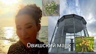 видео: 7 сентября 2025 г.🚢Овишский маяк🌲/🥰Захватывает дух/🌊Море успокаивает и наполняет🌅#латвия #маяк #море картинка: 7 сентября 2025 г.🚢Овишский маяк🌲/🥰Захватывает дух/🌊Море успокаивает и наполняет🌅#латвия #маяк #море