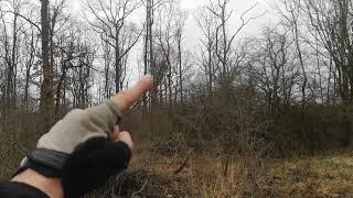 Buchen und Eichensterben - Vorveröffentlichung Uncut - Vor 5 Jahren noch dichter Eichenwald