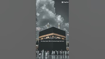 قران كريم #قرآن #اكسبلور #المصحف #اهميه