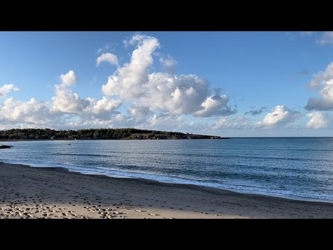 Βίντεο: Μαυροβούνιο θέρετρα: Sunny Budva