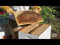 Beekeeping with Chris